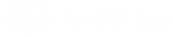 Magnifis Mart